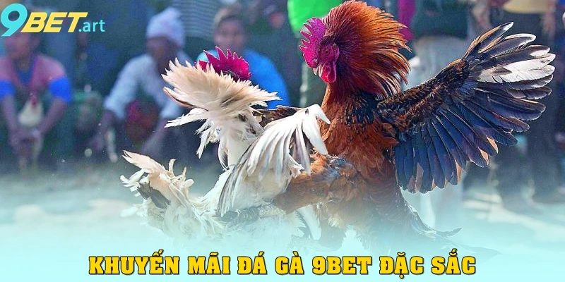 Khuyến mãi đá gà 9bet đặc sắc